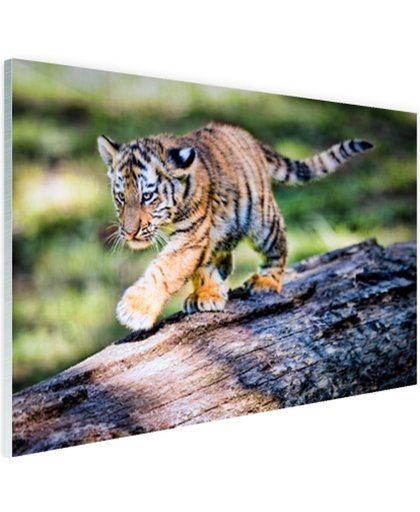 FotoCadeau.nl - Jong tijgertje loopt op boomstam Glas 30x20 cm - Foto print op Glas (Plexiglas wanddecoratie)