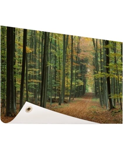 FotoCadeau.nl - Een bospad in de herfst Tuinposter 120x80 cm - Foto op Tuinposter (tuin decoratie)
