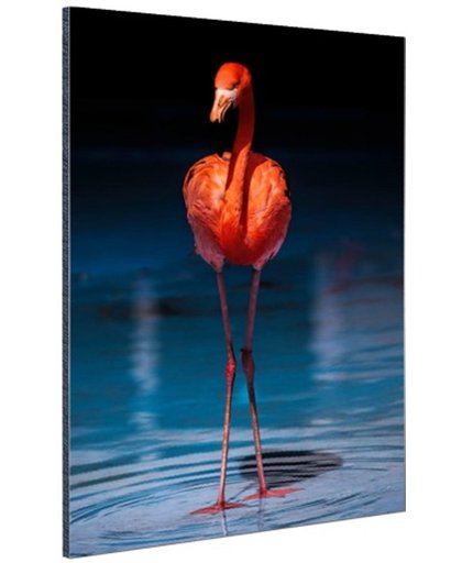 Flamingo donkere achtergrond Aluminium 120x180 cm - Foto print op Aluminium (metaal wanddecoratie)