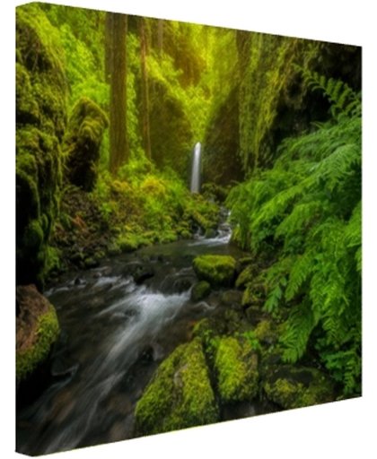 FotoCadeau.nl - Prachtig plaatje jungle Canvas 60x40 cm - Foto print op Canvas schilderij (Wanddecoratie)