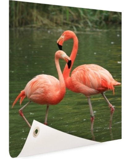 Twee rode flamingos Tuinposter 40x60 cm - Foto op Tuinposter (tuin decoratie)