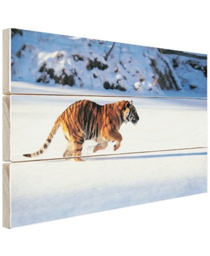 FotoCadeau.nl - Siberische tijger op jacht Hout 80x60 cm - Foto print op Hout (Wanddecoratie)