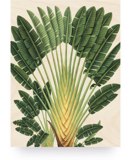 Print op hout Botanical Palm, M