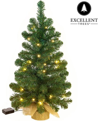 Kerstboom Excellent Trees® LED Jarbo Green 75 cm met verlichting - Luxe uitvoering - 55 Lampjes