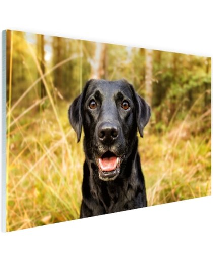Gelukkige zwarte hond Glas 180x120 cm - Foto print op Glas (Plexiglas wanddecoratie)