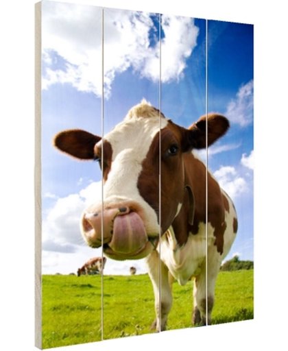 Koe steekt tong uit Hout 120x160 cm - Foto print op Hout (Wanddecoratie)