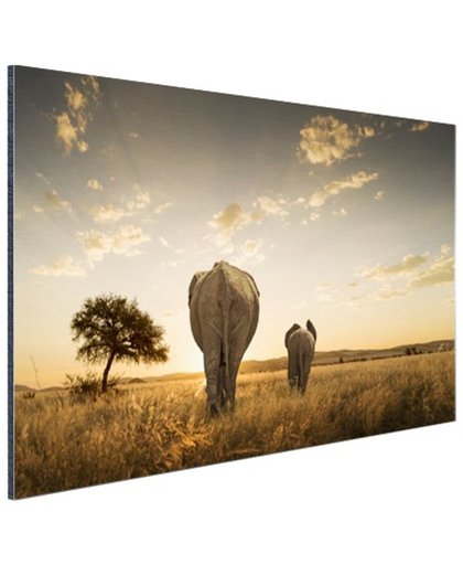 Olifant en kalf savanne Aluminium 180x120 cm - Foto print op Aluminium (metaal wanddecoratie)