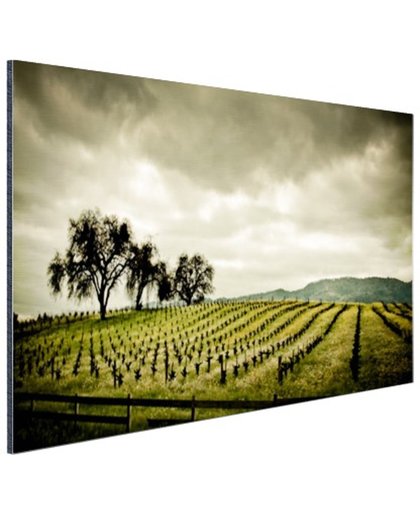 FotoCadeau.nl - Vroege wijngaarden in de Napa Valley Aluminium 60x40 cm - Foto print op Aluminium (metaal wanddecoratie)