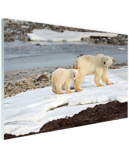 Moeder en zoon ijsbeer Glas 180x120 cm - Foto print op Glas (Plexiglas wanddecoratie)