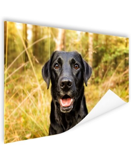 FotoCadeau.nl - Gelukkige zwarte hond Poster 150x75 cm - Foto print op Poster (wanddecoratie)