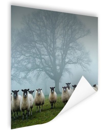 FotoCadeau.nl - Kudde in de mist Poster 75x75 cm - Foto print op Poster (wanddecoratie)