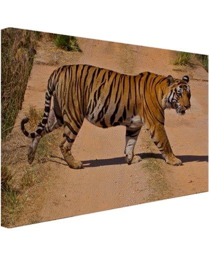 FotoCadeau.nl - Bengaalse tijger steekt over Canvas 30x20 cm - Foto print op Canvas schilderij (Wanddecoratie)
