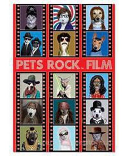Puzzel-Pets Rock Film-500-stukjes