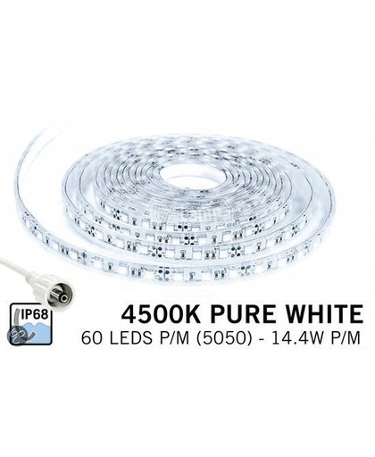 Waterdichte LED strip Puur Wit (IP68) met 300 LEDs 12V, 5 meter