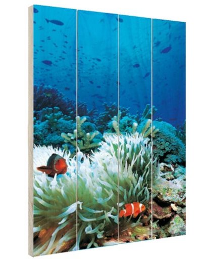 Onderwaterwereld met clownvissen Hout 120x160 cm - Foto print op Hout (Wanddecoratie)