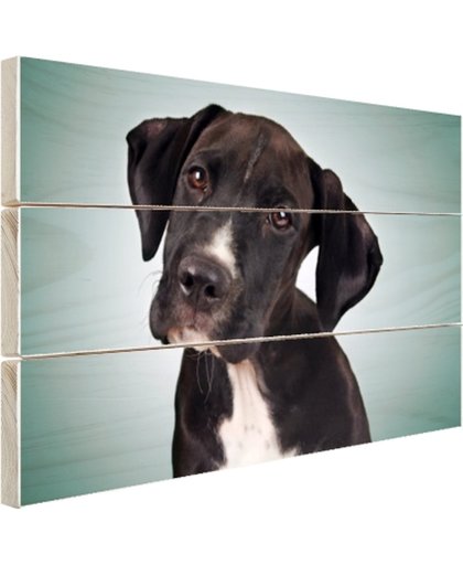 FotoCadeau.nl - Lieve zwart-witte hond Hout 60x40 cm - Foto print op Hout (Wanddecoratie)