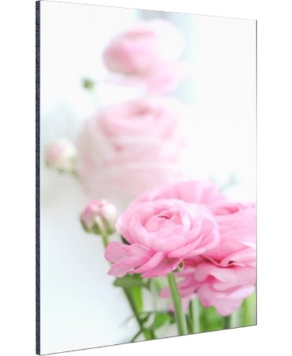 Close-up van roze rozen Aluminium 120x180 cm - Foto print op Aluminium (metaal wanddecoratie)