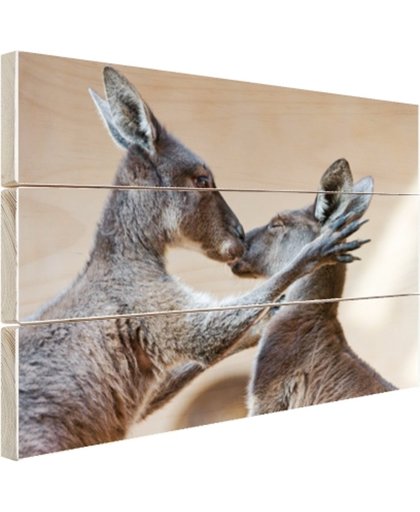 FotoCadeau.nl - Twee kangoeroes kussen met elkaar Hout 120x80 cm - Foto print op Hout (Wanddecoratie)