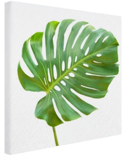Blad van een gatenplant botanisch Canvas 80x60 cm - Foto print op Canvas schilderij (Wanddecoratie)