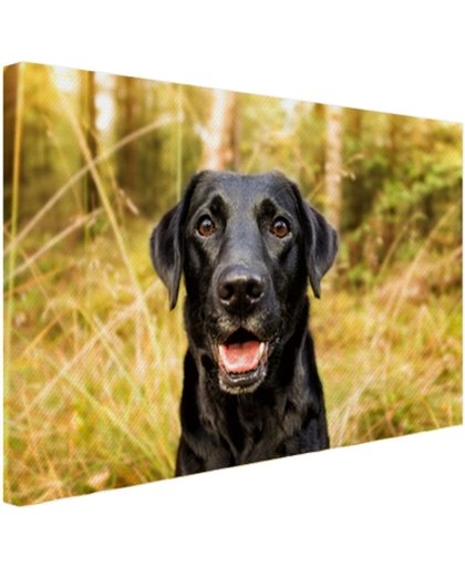 Gelukkige zwarte hond Canvas 180x120 cm - Foto print op Canvas schilderij (Wanddecoratie)