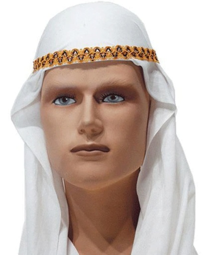 Arabieren sheik hoofddoek