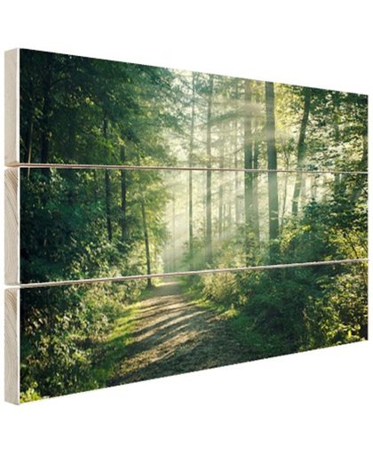 FotoCadeau.nl - Zonnige oktobermorgen in het bos Hout 120x80 cm - Foto print op Hout (Wanddecoratie)