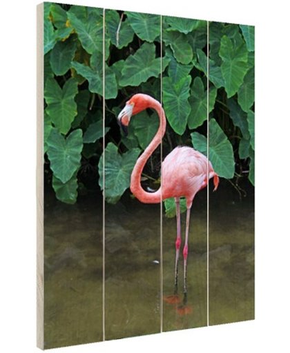 Een flamingo met planten achtergrond Hout 60x80 cm - Foto print op Hout (Wanddecoratie)