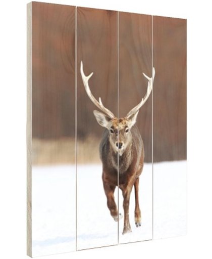 Rennend hert fotoafdruk Hout 120x160 cm - Foto print op Hout (Wanddecoratie)
