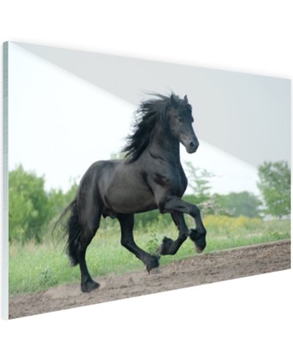 Prachtig zwart paard Glas 180x120 cm - Foto print op Glas (Plexiglas wanddecoratie)