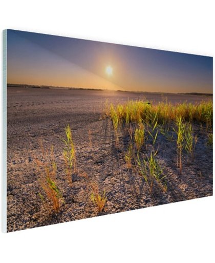 FotoCadeau.nl - Droge woestijn met plantjes  Glas 120x80 cm - Foto print op Glas (Plexiglas wanddecoratie)