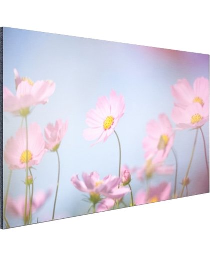 FotoCadeau.nl - Prachtige lichtroze bloemen Aluminium 120x80 cm - Foto print op Aluminium (metaal wanddecoratie)