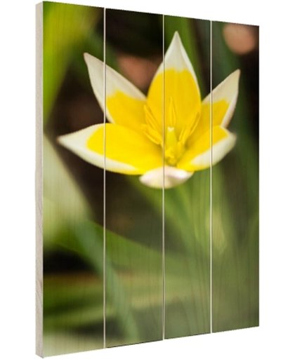 Gele bloem Hout 120x160 cm - Foto print op Hout (Wanddecoratie)