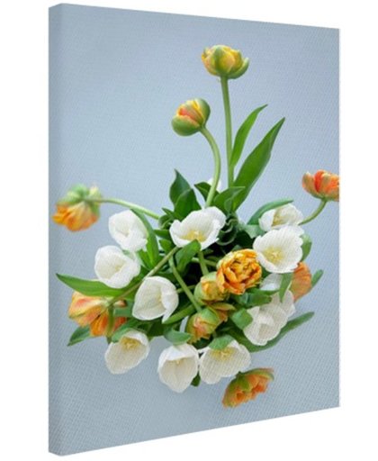 Witte en oranje tulpen witte achtergrond Canvas 120x180 cm - Foto print op Canvas schilderij (Wanddecoratie)