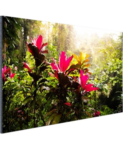 Prachtige bloemen middenin de jungle Aluminium 180x120 cm - Foto print op Aluminium (metaal wanddecoratie)