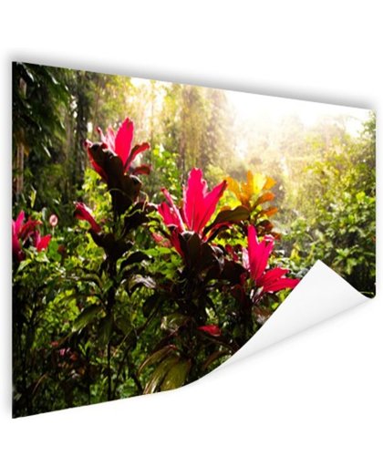 FotoCadeau.nl - Prachtige tempel middenin de jungle Poster 180x120 cm - Foto print op Poster (wanddecoratie)