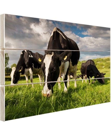 FotoCadeau.nl - Drie Holstein koeien Hout 80x60 cm - Foto print op Hout (Wanddecoratie)