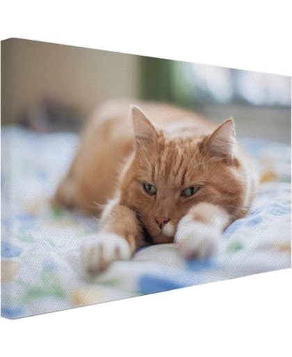 Kat ontspannen op bed Canvas 180x120 cm - Foto print op Canvas schilderij (Wanddecoratie)