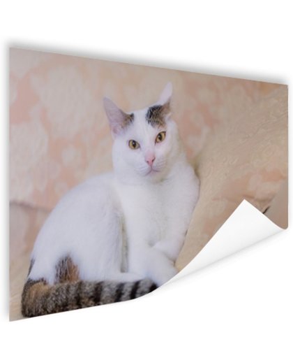 FotoCadeau.nl - Prachtige kat Poster 90x60 cm - Foto print op Poster (wanddecoratie)