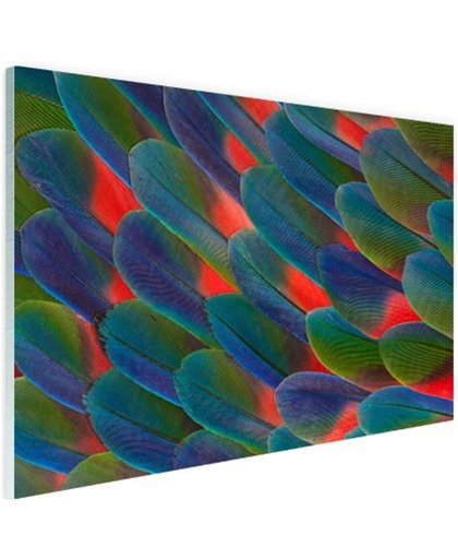 FotoCadeau.nl - Detail veren papegaai Glas 120x80 cm - Foto print op Glas (Plexiglas wanddecoratie)