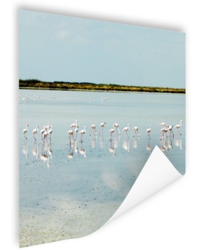 FotoCadeau.nl - Moderne foto met flamingos Poster 75x75 cm - Foto print op Poster (wanddecoratie)