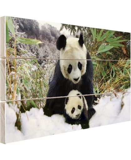 FotoCadeau.nl - Moeder panda en welp in de winter Hout 120x80 cm - Foto print op Hout (Wanddecoratie)