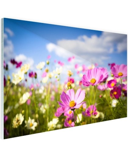 Bloemen in volle bloei Glas 180x120 cm - Foto print op Glas (Plexiglas wanddecoratie)