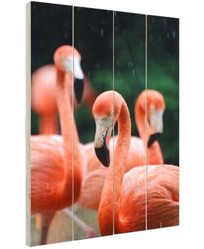 Flamingos in de regen Hout 120x160 cm - Foto print op Hout (Wanddecoratie)