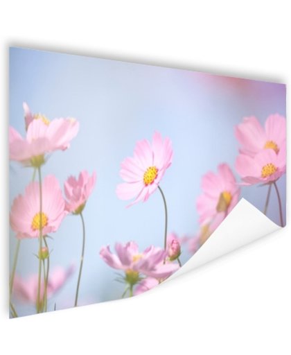 FotoCadeau.nl - Prachtige lichtroze bloemen Poster 90x60 cm - Foto print op Poster (wanddecoratie)