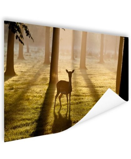 Hert in het bos foto afdruk Poster 180x120 cm - Foto print op Poster (wanddecoratie)