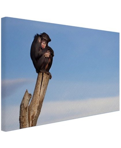 Chimpansee op boomstam Canvas 180x120 cm - Foto print op Canvas schilderij (Wanddecoratie)