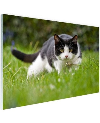 FotoCadeau.nl - Zwart-witte kat op jacht Glas 120x80 cm - Foto print op Glas (Plexiglas wanddecoratie)