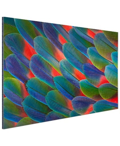 FotoCadeau.nl - Detail veren papegaai Aluminium 120x80 cm - Foto print op Aluminium (metaal wanddecoratie)