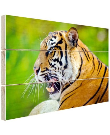 FotoCadeau.nl - Brullende tijger Hout 120x80 cm - Foto print op Hout (Wanddecoratie)