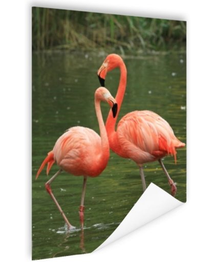 Twee rode flamingos Poster 120x180 cm - Foto print op Poster (wanddecoratie)